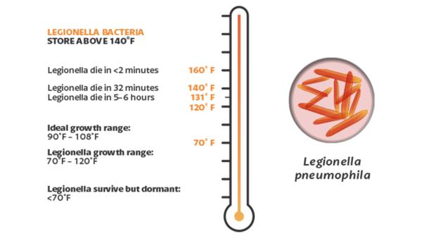 safety-reduce-risk-of-legionella-bacteria-resized.png
